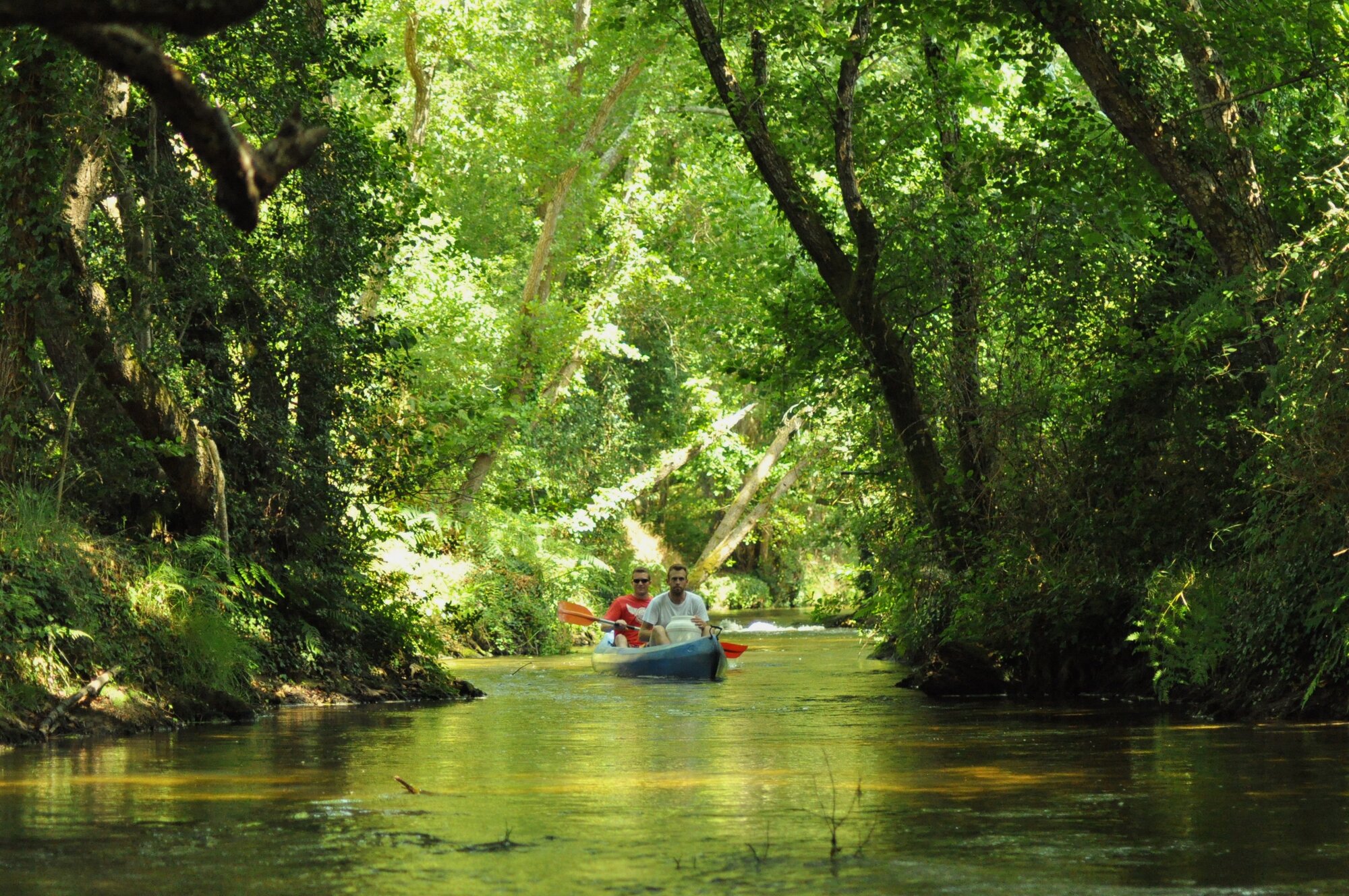 Le Courant de Contis, rivière sauvage des Landes