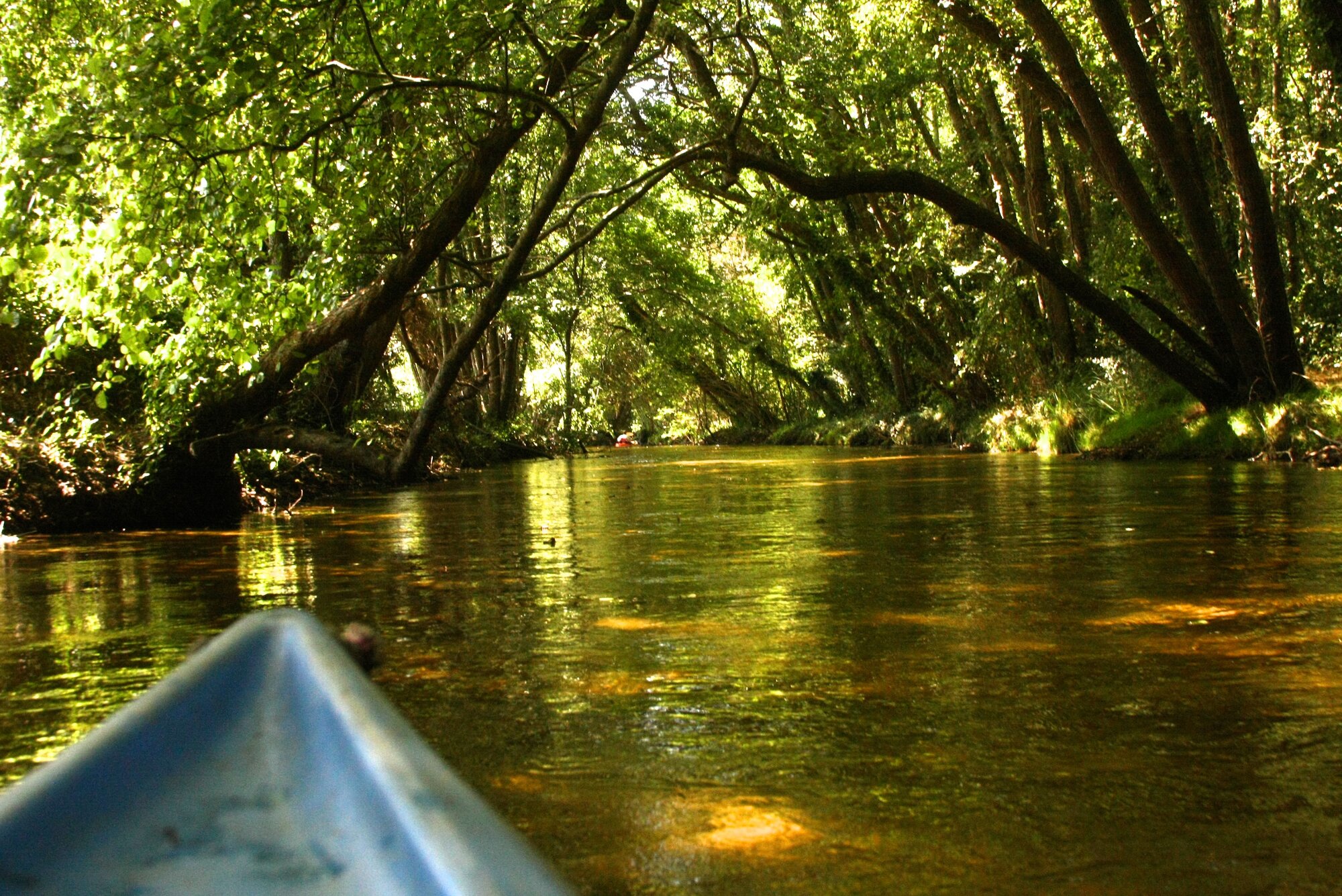 Activité canoë sur le Courant de Contis